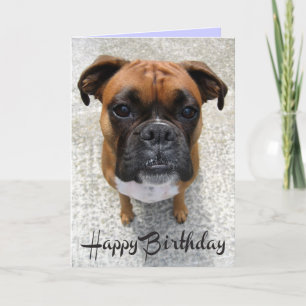 Boxer Chien Chien Chien Heureux Anniversaire Carte