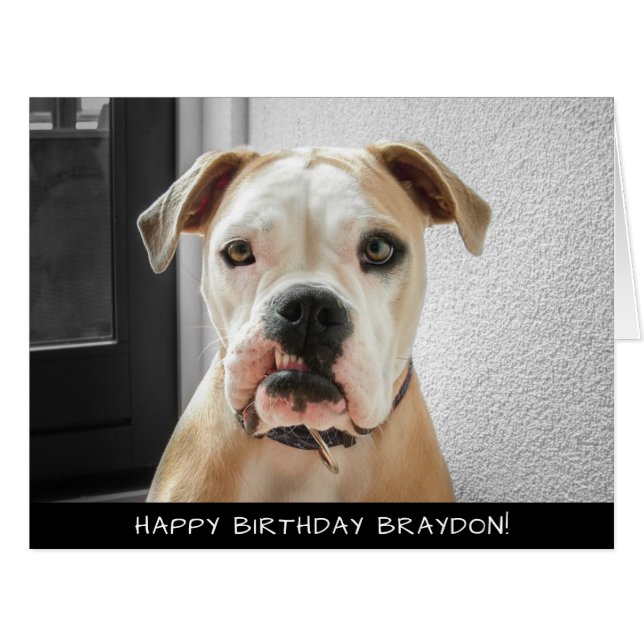 Boxer Chien extra grande carte d'anniversaire (Devant horizontal)