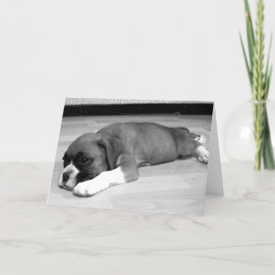 Boxer chiot "Sasha" carte de voeux relaxant