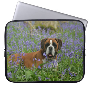 Boxer, der in Bluebells legt Laptopschutzhülle