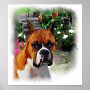 Boxer Dog Art Print Poster