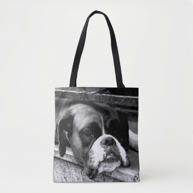 Boxer Dog auf der Windows-STCNA Tasche (Vorderseite)