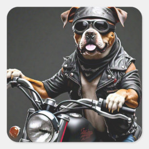 Boxer Dog auf Motorradaufkleber Quadratischer Aufkleber