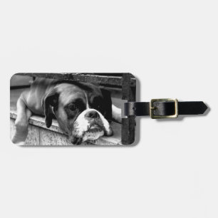 Boxer Dog auf Windows cd ltcna Gepäckanhänger
