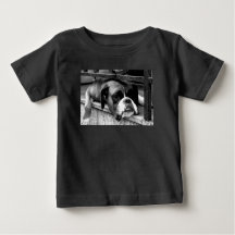 Boxer Dog auf Windows iccnm