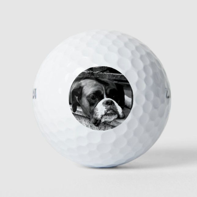 Boxer Dog auf Windows mit gbcna Golfball (Vorderseite)