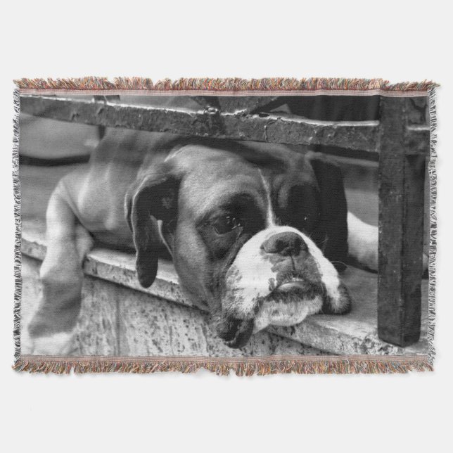 Boxer Dog auf Windows tbcna Decke (Vorderseite)