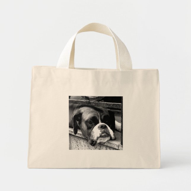 Boxer Dog auf Windows tcnm Mini Stoffbeutel (Vorne)