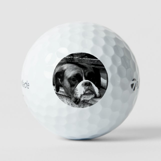 Boxer Dog auf Windows tmtp5 gbcna Golfball (Vorderseite)