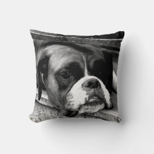 Boxer Dog auf Windows tpcn Kissen