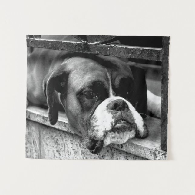 Boxer Dog auf Windows wtcna Wandteppich (Vorderseite (Horizontal))