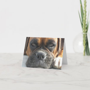 Boxer Dog Blank Notecard Karte