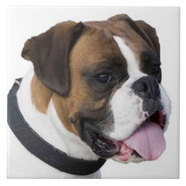 BOXER DOG, Liebe für Haustiere, bestes Friend-KEEP Fliese (Vorderseite)