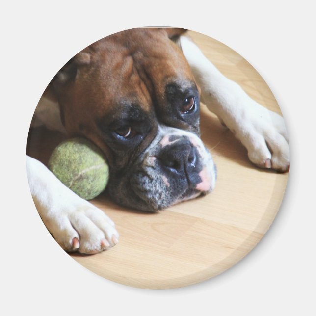 Boxer Dog Magnet (Vorne)