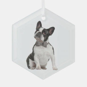 Boxer Dog Pet Animal Glass Ornament Aus Glas