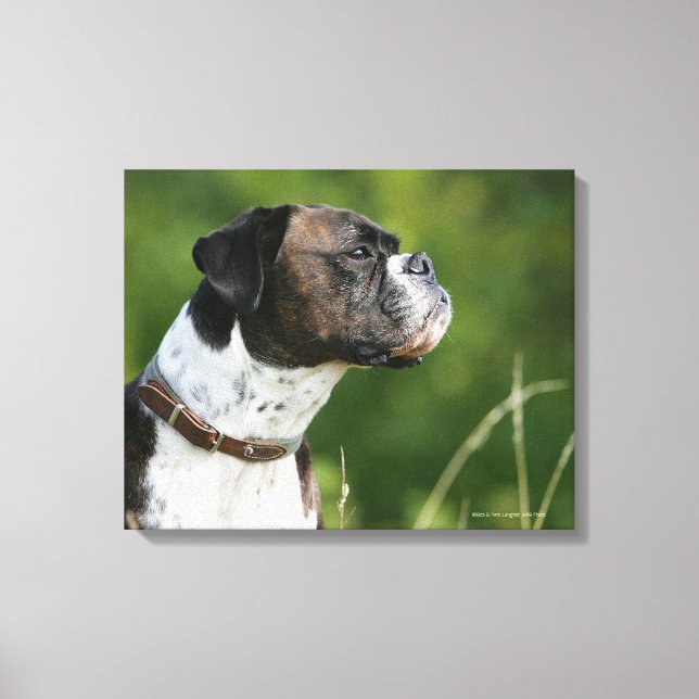 Boxer Dog Profil Leinwanddruck (Vorderseite)