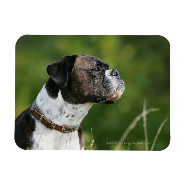 Boxer Dog Profil Magnet (Horizontal)