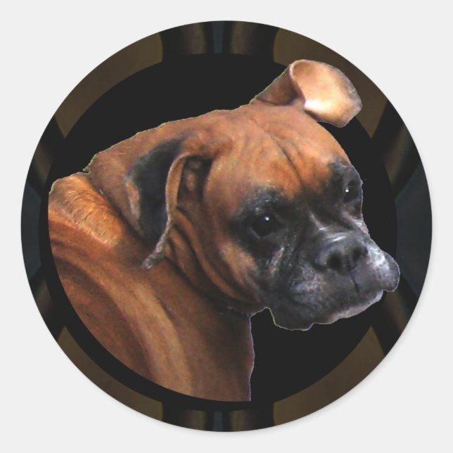 Boxer Dog Stickers (Vorderseite)