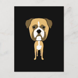 Boxer Dog. Übersichtlicher Kopf. Postkarte