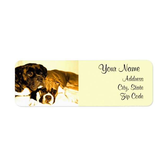 Boxer Dogs Address Labels (Vorne)