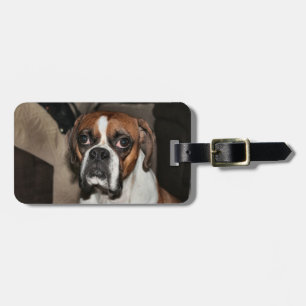 Boxer Gepäckanhänger