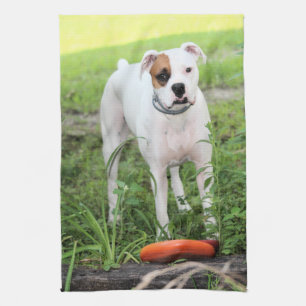 Boxer Geschirrtuch