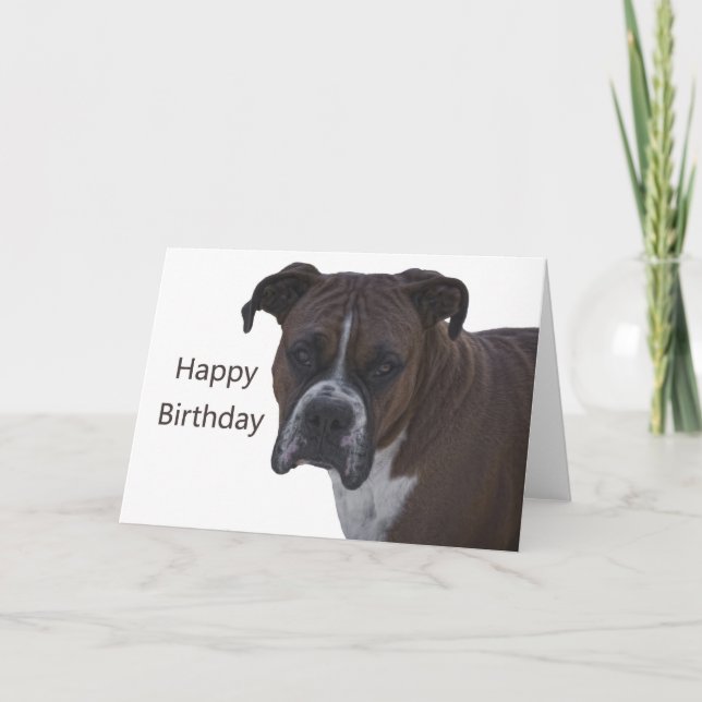 Boxer Happy Birthday Card Karte (Vorderseite)
