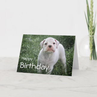 Boxer Happy Birthday Card Karte