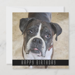 Boxer Happy Geburtstag von Hund Geburtstagskarte Ankündigung