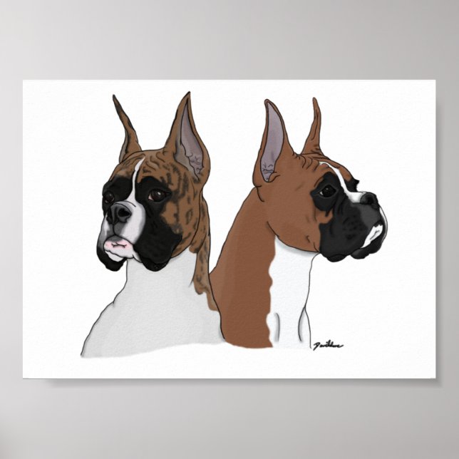 Boxer Heads in Digital Art on Poster (Vorne)