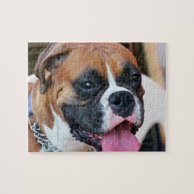 Boxer-Hund (Horizontal)