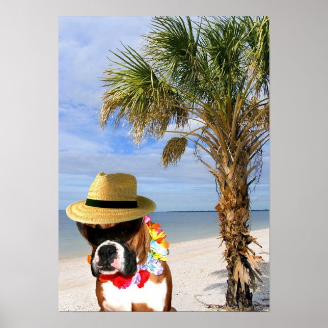 Boxer Hund auf dem Strandposter Poster (Vorne)