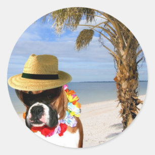Boxer Hund auf Strandaufklebern Runder Aufkleber