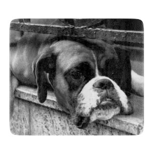 Boxer Hund auf Windows cbcn Schneidebrett