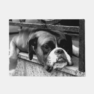 Boxer Hund auf Windows dm arc1 Fußmatte