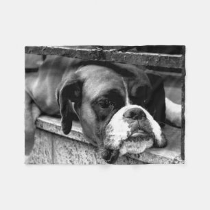 Boxer Hund auf Windows-Fbcnm Fleecedecke