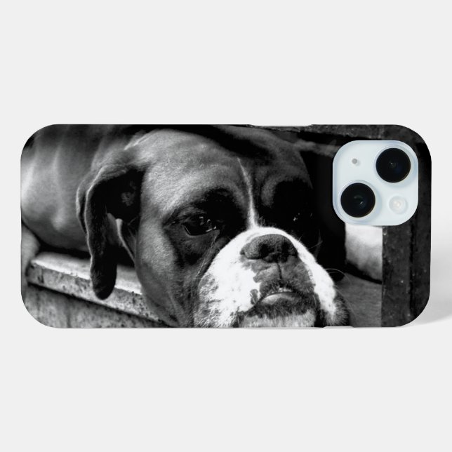 Boxer Hund auf Windows iphcna Case-Mate iPhone Hülle (Rückseite (Horizontal))