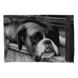 Boxer Hund auf Windows-Pccm Kissenbezug