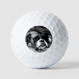 Boxer Hund auf Windows sein6 gbcna Golfball