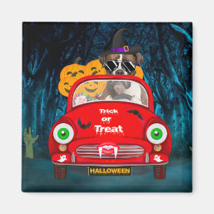Boxer Hund Auto Beängstigend Halloween Magnet