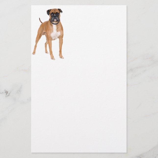Boxer-Hund Briefpapier (Vorderseite)