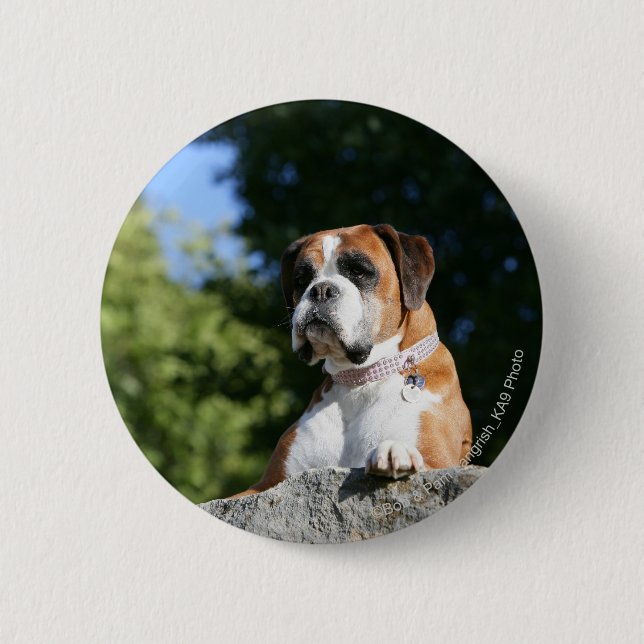 Boxer-Hund, der auf einen Felsen legt Button (Vorderseite)