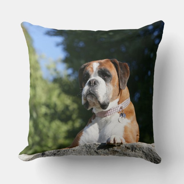 Boxer-Hund, der auf einen Felsen legt Kissen (Vorderseite)