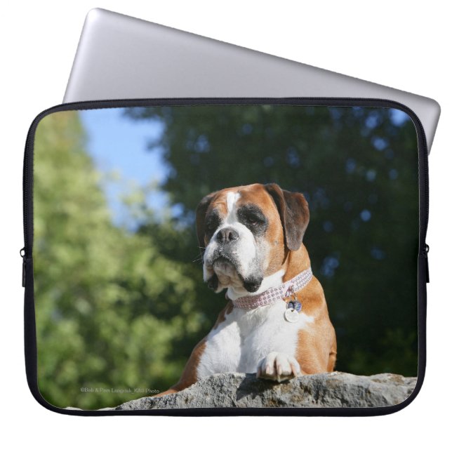 Boxer-Hund, der auf einen Felsen legt Laptopschutzhülle (Vorderseite)