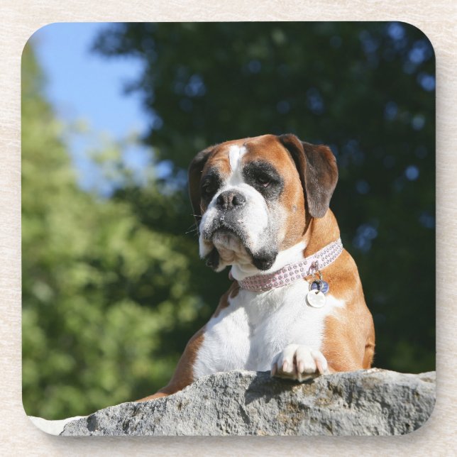 Boxer-Hund, der auf einen Felsen legt Untersetzer (Vorderseite)