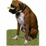 Boxer-Hund Fotoskulptur Magnet<br><div class="desc">Diese Fotoskulptur ist von einem schönen brindle Boxerhund. Sie können diesen Entwurf besonders anfertigen und ihn in einer Vielzahl von Größen bestellen. Dieser Boxerentwurf ist auch verfügbar als geformte,  Ausschnittmagneten,  Verzierungen,  Buttone und Schlüsselanhänger.</div>