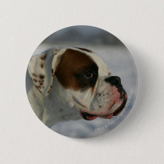 Boxer-Hund im Schnee Button