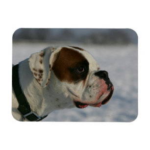Boxer Hund im Schnee Magnet