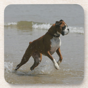 Boxer-Hund im Wasser Untersetzer