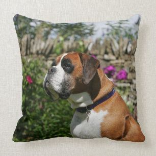 Boxer-Hund in den Blumen Kissen